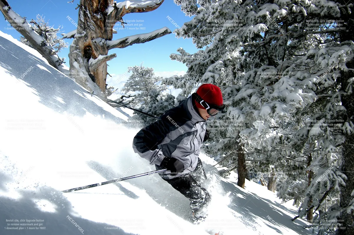 A dynamic winter sports scene featuring a skier carving down a snow-covered slope, flanked by trees, with expansive mountain views in the backdrop. The setting radiates adventure and the thrill of fresh powder days at a nearby resort.